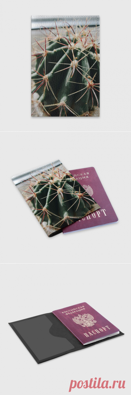 Обложка для паспорта матовая кожа Кактус фотография - купить по цене 920 руб в интернет-магазине Всемайки, арт 3650727