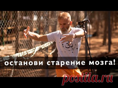 Нейрогимнастика. Останови старение своего мозга