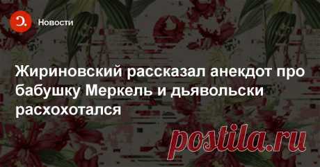 Жириновский рассказал анекдот про бабушку Меркель и дьявольски расхохотался