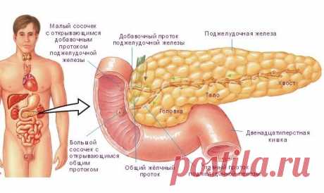 4 самых эффективных рецепта для лечения поджелудочной железы, о которых врачи умалчивают — Здоровое Долголетие