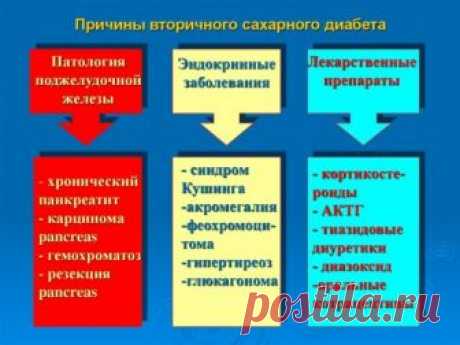 Диабет как следствие заболеваний и применения лекарственных препаратов | Советы целительницы