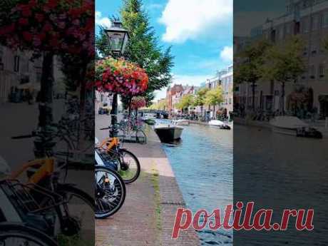 One day in Leiden / Netherlands