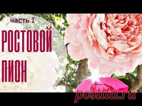 ГИГАНТСКИЕ ростовые цветы. Пион. Часть I / Free Standing Giant Flower | Giant Paper Peony | Part 1