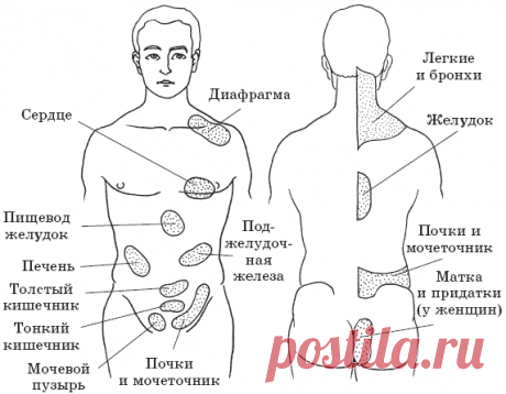 Уринотерапия – мощный способ оздоровления / Полная энциклопедия оздоровления