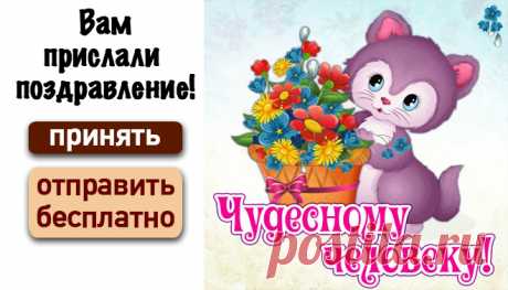 Полезные советы