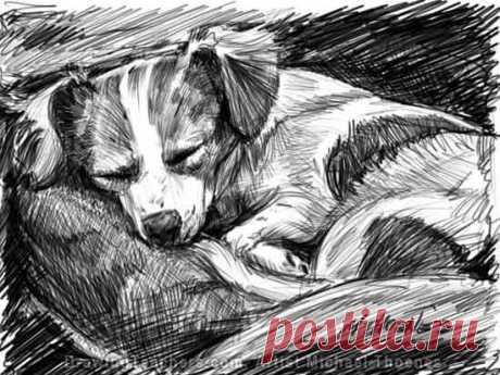 Рисуем спящего щенка
