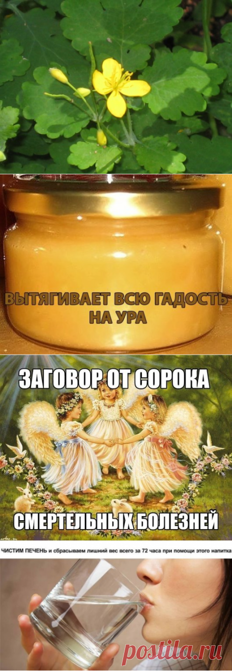 (69) Одноклассники