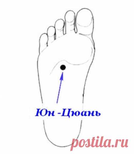 Китайская медицина. Точка Юн-цюань Китайская медицина. Точка Юн-цюань.
Старинная даосская поговорка: «Пройди после еды сотню шагов — и доживешь до ста лет».

 
Древние китайцы сравнивали ноги человека с корнями дерева. И, как здоровому…