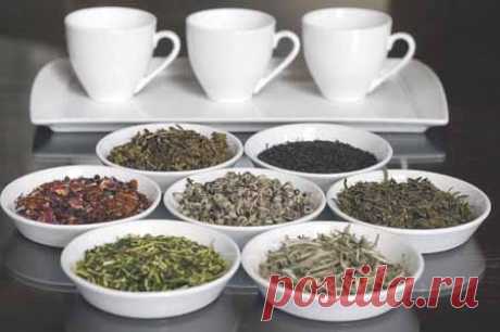 Целебные свойства чая | Красота и здоровье