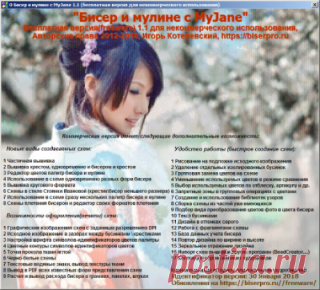 Программа для вышивки  Бисер и мулине с MyJane