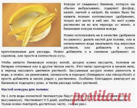 полив цветов водой с банановой кожурой: 10 тыс изображений найдено в Яндекс.Картинках