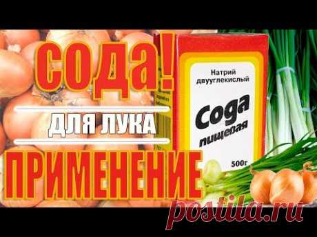 СОДА! ПРИМЕНЕНИЕ СОДЫ ПРИ ПОСАДКЕ ЛУКА! СУПЕР СПОСОБ!