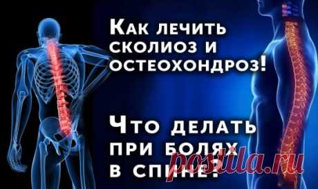 Хотите идеальную осанку? Беспокоит спина? Постоянно чувствуете усталость из из дискомфорта в спине? Хотите попрощаться с сутулостью? корректор осанки очень удобен и прост в использовании. Совершенно не заметен при ношении под одеждой! Что он может? + Быстрое исправление осанки; + Избавление от боли в спине; + Укрепление мышц спины; + Выравнивание линии плеч. Магнитное поле не только исправляет осанку, оно благотворно действует на весь организм в целом.