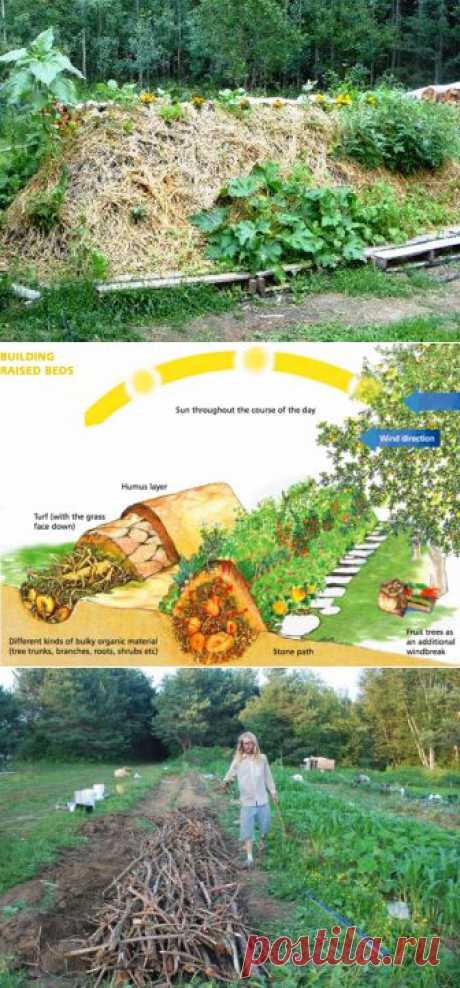 (+1) тема - Hugelkultur - культура насыпных высоких грядок | 6 соток