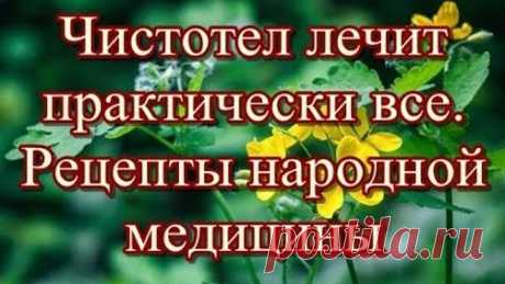 Чистотел лечит практически все Рецепты народной медицины