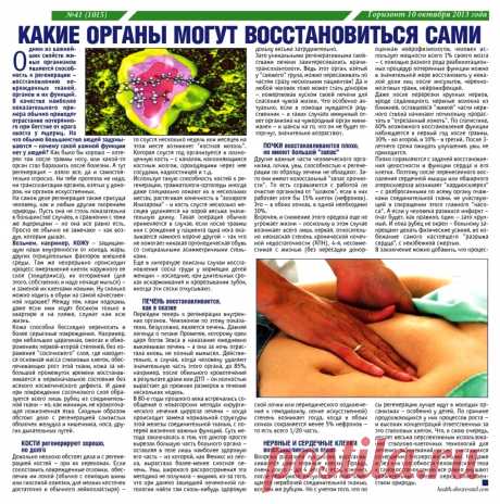 Какие органы могут восстанавливаться сами