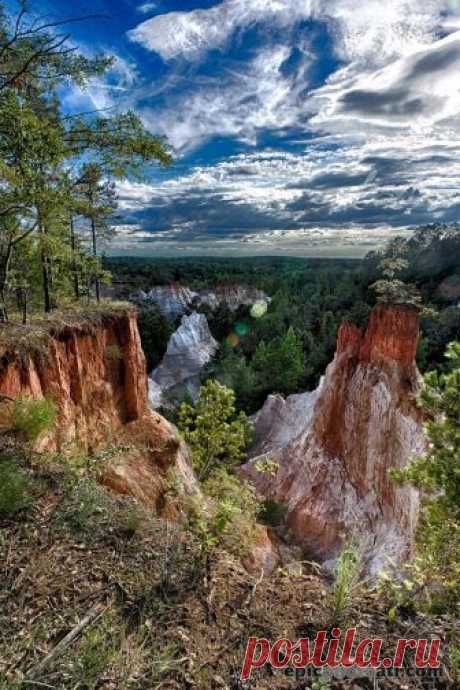 Happy Thoughts &quot;The Little Grand Canyon&quot;, Providence Canyon, Georgia [OC][1397*2096] via /r/EarthPorn https://ift.tt/2vjwpZ1