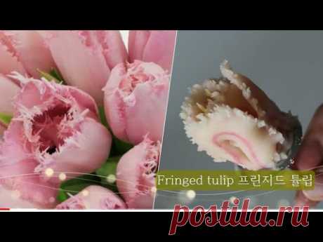 앙금플라워 프린지드튤립 Fringed tulip flower piping