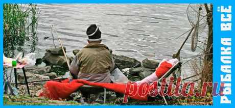 Подборка прикольных фото на тему рыбалка | Рыбалка Всё | Дзен