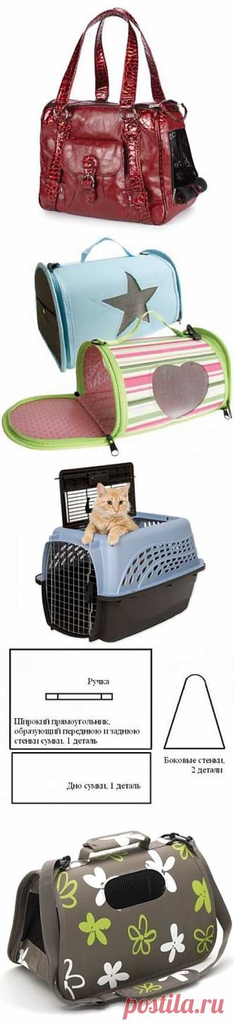 Переноска для кошек: выбираем комфортные «апартаменты»