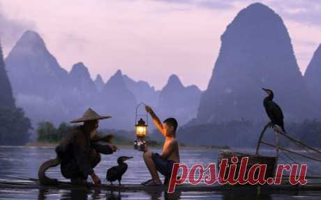 Удивительная рыбалка по-китайски — Все о туризме и отдыхе