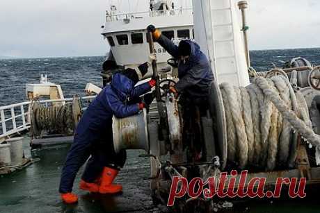 Пожар на судне в Охотском море потушен силами экипажа. Пожар на морозильном рыболовном судне Sunfish потушен силами экипажа. «Ни людям, ни судну ничего не угрожает, наблюдается лишь небольшое задымление», — отметили в центре. Экипаж размещен в служебных помещениях, указал собеседник агентства.