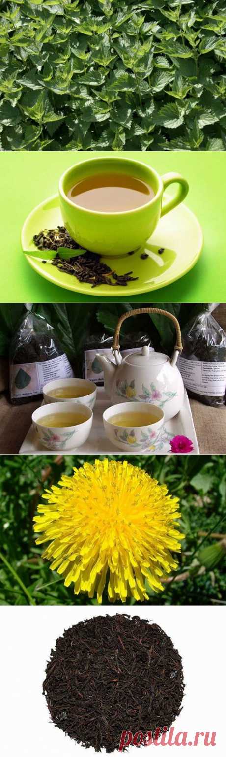 (+1) тема - 10 травяных чаев в помощь худеющим | Диеты со всего света