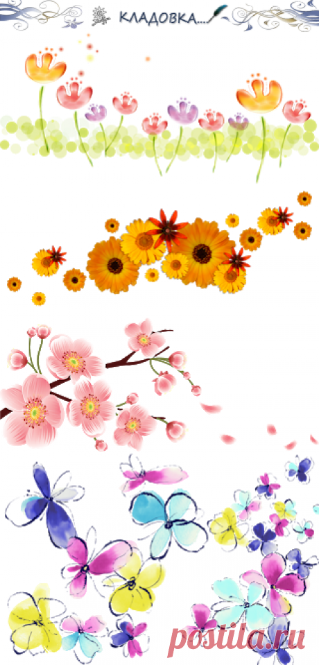 Кладовка...: Цветы  для оформления - на прозрачном фоне - png