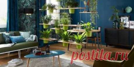 Как украсить свой дом комнатными растениями, не теряя при этом пространства. 7 крутых решений | Décor and Design | Яндекс Дзен