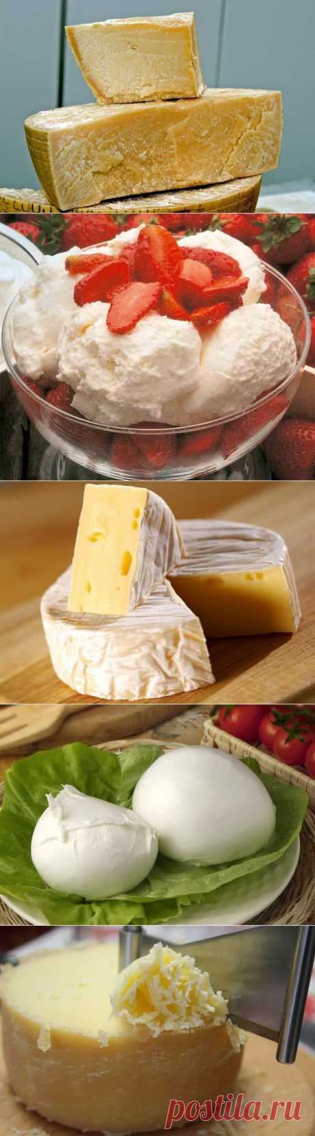 Топ-10 самых вкуснейших сыров в мире, которые нужно попробовать: | Готовим вместе