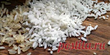 Почему не следует допускать закипания воды при варке риса — правильный способ приготовления риса от эксперта