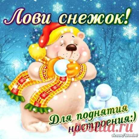 БОЛЬШИЕ Открытки на стену !