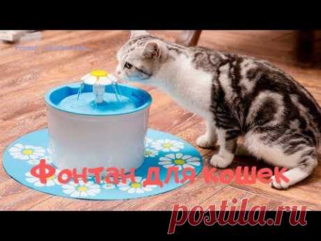 Фонтан для кошек | Promo-Skidka.com - YouTube