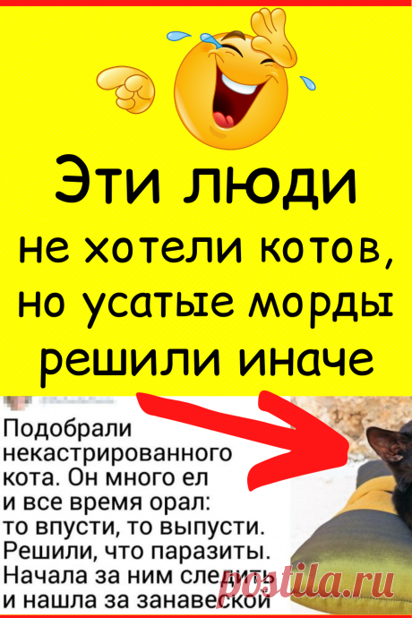 Эти люди не хотели котов, но усатые морды решили иначе
#юмор #смешной_юмор #семейный_юмор #смешно #смешное #самое_смешное #анекдот #прикол #шутки #смешные #неловкие #смешные_истории #смешные_надписи