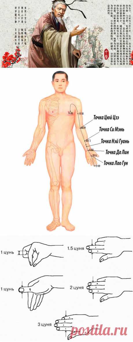 Секреты китайской медицины. Как предотвратить серьезные проблемы с сосудами сердца и головного мозга | ПолонСил.ру - социальная сеть здоровья