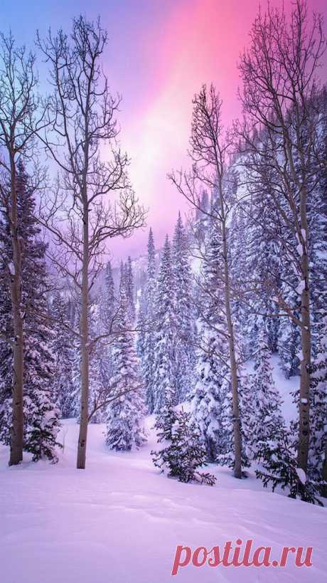 Winter Landscape - title Snow Globe - by Wayne Boland  |  Pinterest • Всемирный каталог идей