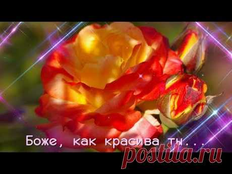 Ты красива! Ты изящна! - YouTube