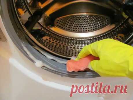 (76) Как почистить стиральную машину-автомат от грязи и накипи за 5 шагов - Квартира, дом, дача - 11 декабря - 43229734256 - Медиаплатформа МирТесен