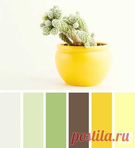 Design Seeds® | find your palette