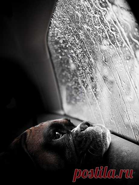 At the car wash, yeah! (064/365) | Flickr - Photo Sharing!