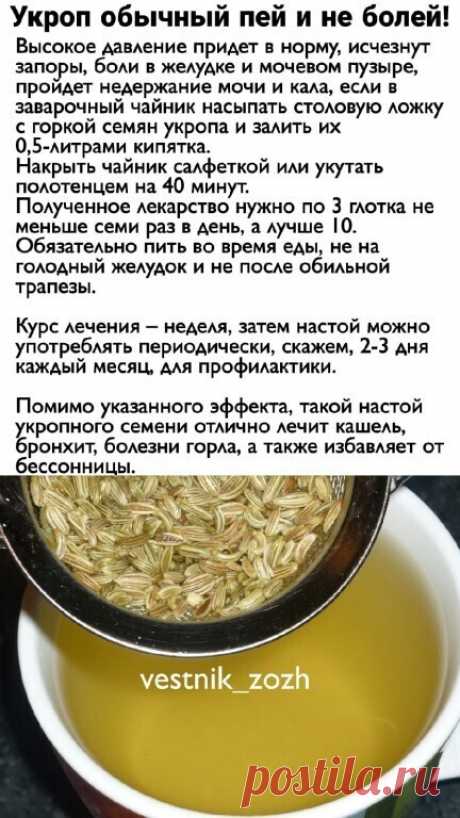 Укроп обычный пeй и не болeй!