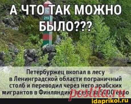 ЧТО ТАК МОЖНО БЫЛО??? Петербуржец вкопал в лесу в Ленинградской области пограничный столб и переводил через него арабских мигрантов в Финляндию всего за 5000 евро - АйДаПрикол