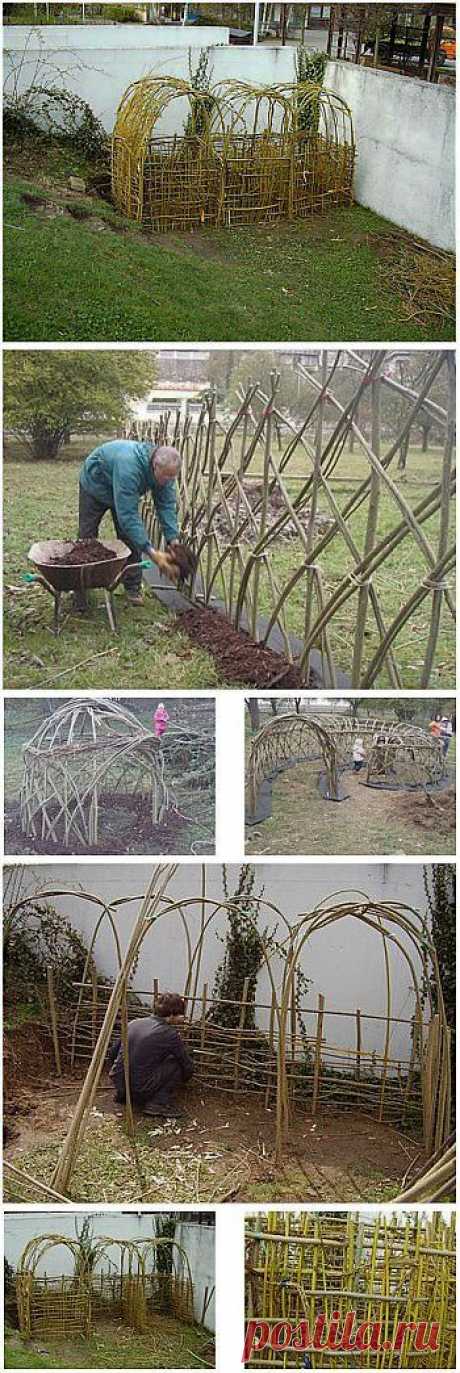 Из свежих прутьев вербы сделаете компостер, живую изгородь на даче и домики для детей :: Цветущая дача