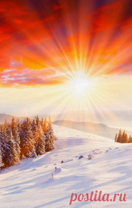 Sun in winter  |  Найдено на сайте dreamynature2014.blogspot.com.
