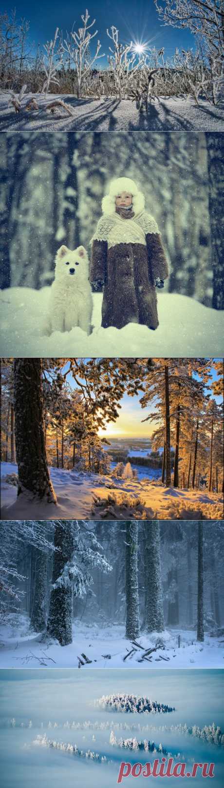 Что фотографировать зимой? Вдохновляющие примеры;)) - Фотопанорама