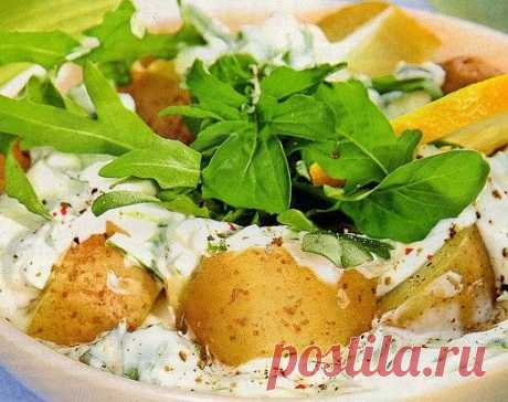 Что приготовить из молодого картофеля? — Вкусные рецепты