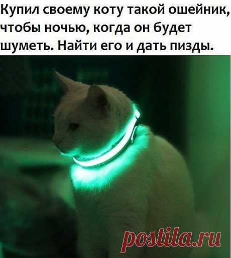 Про котэ...