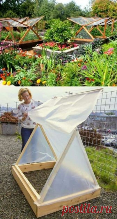 42 BEST tutorials on how to build amazing DIY greenhouses , simple cold frames and cost-effective hoop house even when you have a small budget and little carpentry skills! Everyone can have a productive winter garden and year round harvest! A Piece Of Rainbow