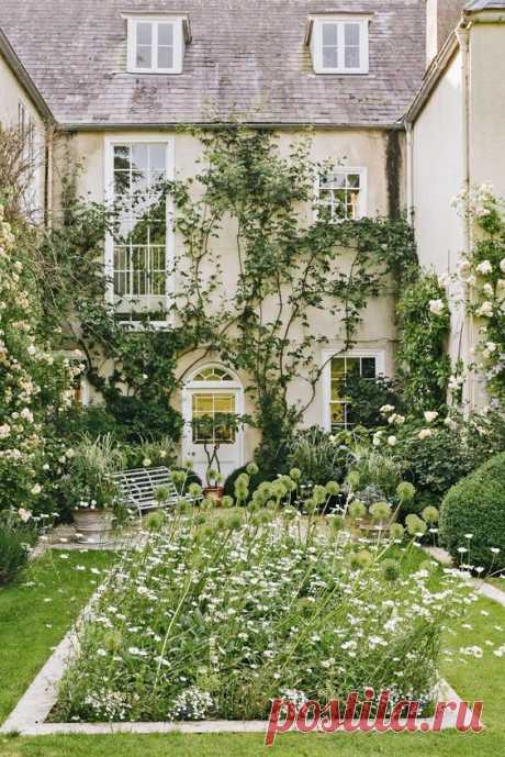 Batcombe House: The 'essential Somerset garden' with a gloriously wild display of flowers, a relaxed atmospheric landscape and an unexploded WW2 shell in one of the borders - Country Life