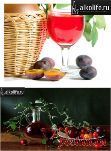 Как сделать вино из сливы в домашних условиях
